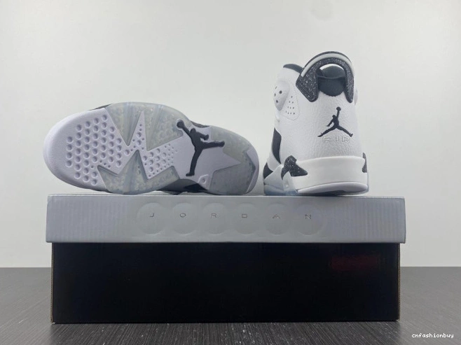 6 Jordan Retro 384664-101 Oreo 1105